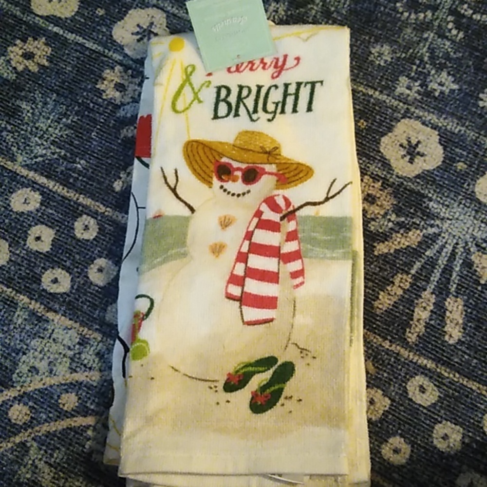 Florida snowman dish towel